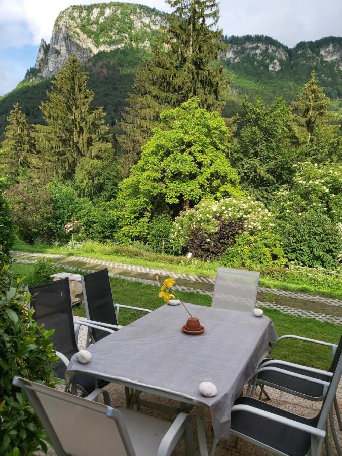 Ingreen House Appartement