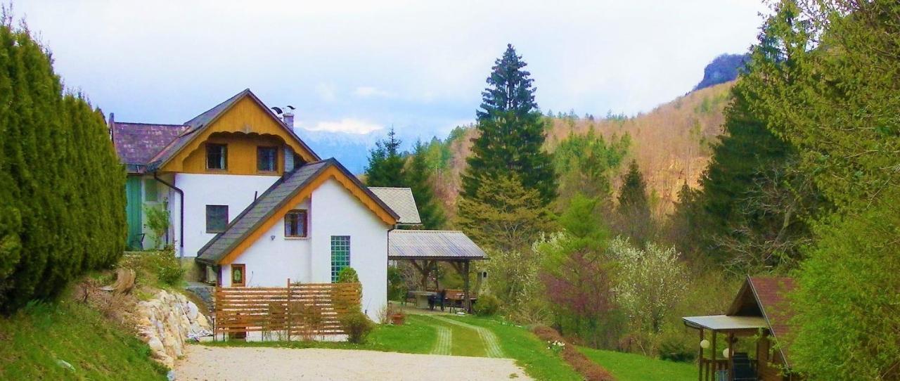 Appartement Ingreen House *
