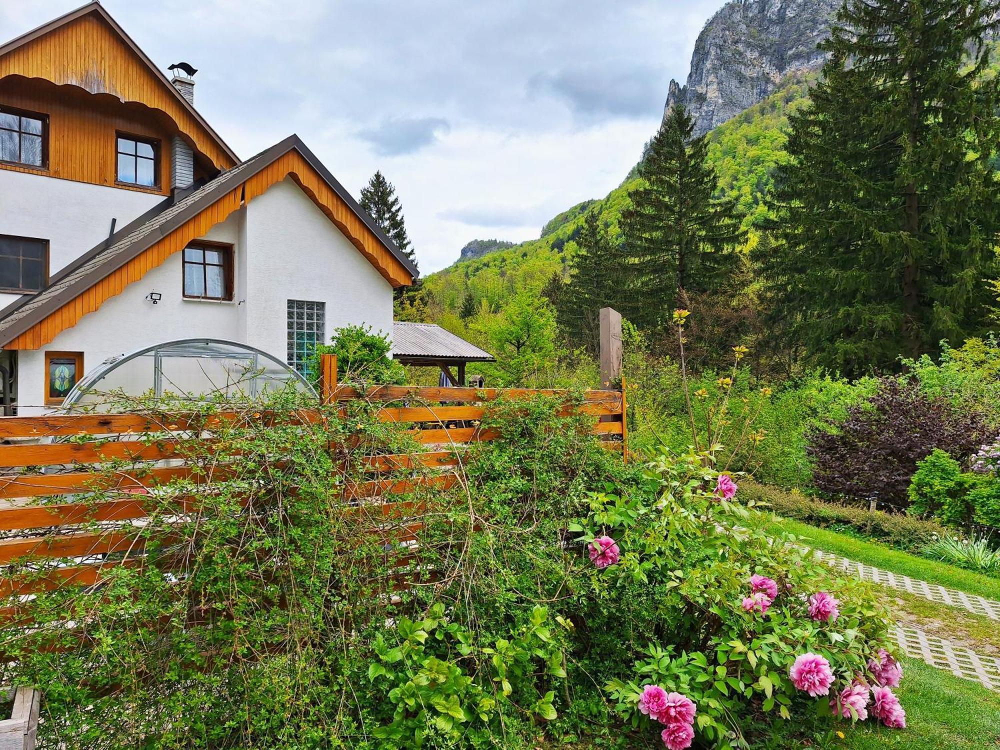 Apartment Ingreen House