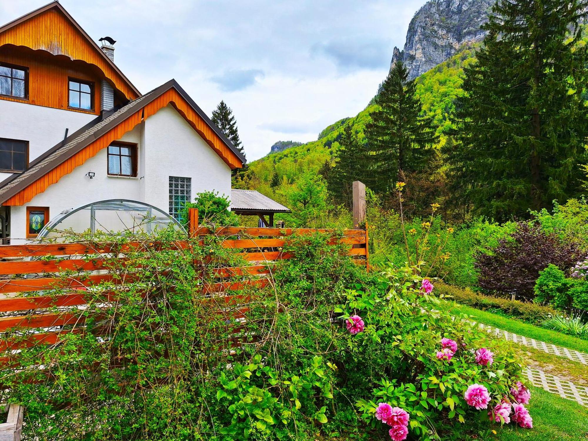 Ingreen House Apartment