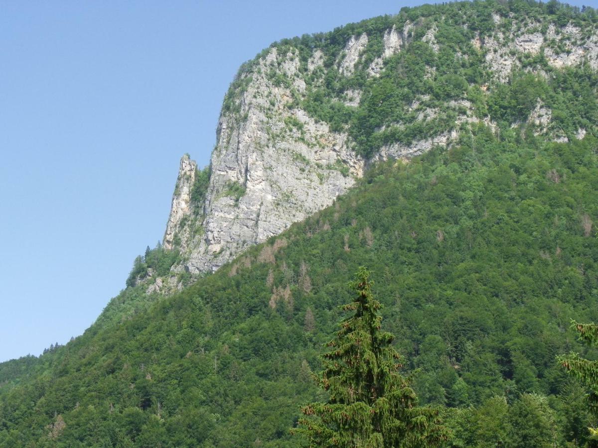 Ingreen House Bohinjska Bela